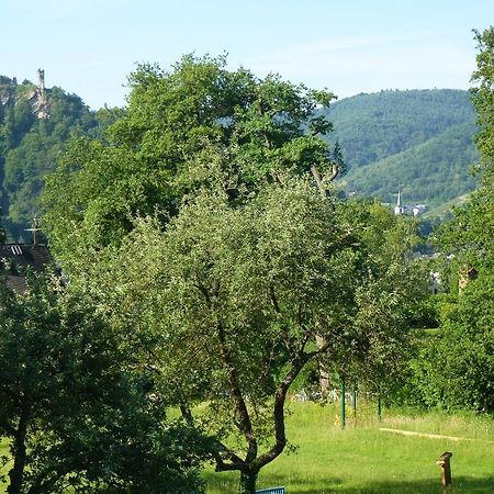 Ferienwohnung Feriendomizil im Plantert Traben-Trarbach Exterior foto